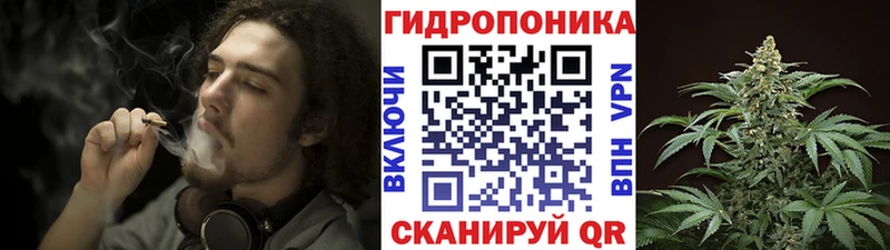 купить наркотики цена  Полярные Зори  мега вход  Бошки марихуана индика 